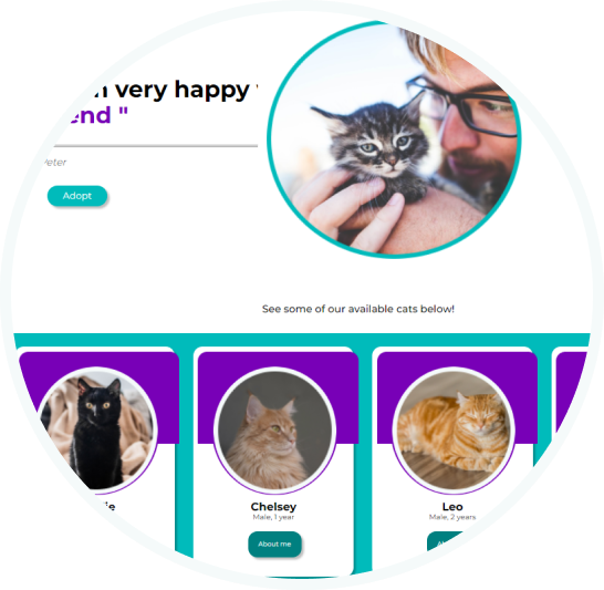 Screenshot of Pet Adoption Project